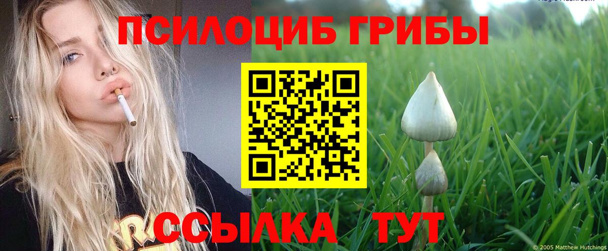 закладки  Галлюциногенные грибы Psilocybe  Уварово  Вход с VPN  Псилоцибиновые грибы MAGIC MUSHROOMS 
